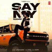 Satkar Sandhu mp3 songs download,Satkar Sandhu Albums and top 20 songs download