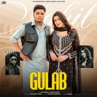 Download Gulab Sahil Mehrok mp3 song, Gulab Sahil Mehrok full album download