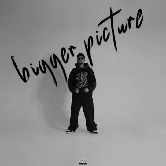 Download Bigger Picture Flop Likhari mp3 song