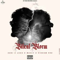 Download The Way She Shines gURi mp3 song, The Way She Shines gURi full album download