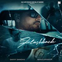 Savvy Sandhu mp3 songs download,Savvy Sandhu Albums and top 20 songs download