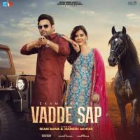 Download Vadde Sap Ekam Bawa mp3 song