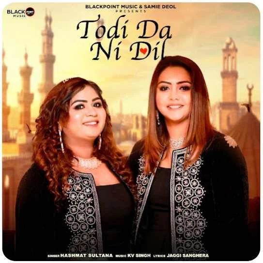 Download Todi Da Ni Dil Hashmat Sultana mp3 song, Todi Da Ni Dil Hashmat Sultana full album download
