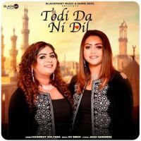 Hashmat Sultana mp3 songs download,Hashmat Sultana Albums and top 20 songs download