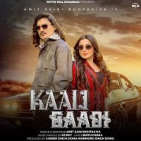 Amit Saini Rohtakiya mp3 songs download,Amit Saini Rohtakiya Albums and top 20 songs download