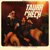 Download Taurr Check Ekam Chanoli mp3 song, Taurr Check Ekam Chanoli full album download