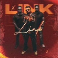 Download Link Lovie Virk mp3 song, Link Lovie Virk full album download