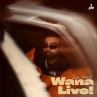 Download Wana Live Deep Chahal mp3 song, Wana Live Deep Chahal full album download