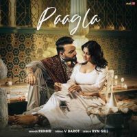 Runbir mp3 songs download,Runbir Albums and top 20 songs download