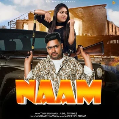 Download Naam Ashu Twinkle mp3 song, Naam Ashu Twinkle full album download