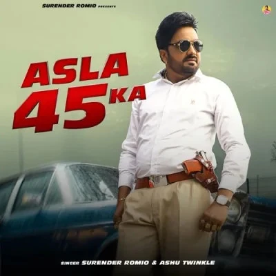 Download Asla 45 Ka Surender Romio, Ashu Twinkle mp3 song, Asla 45 Ka Surender Romio, Ashu Twinkle full album download