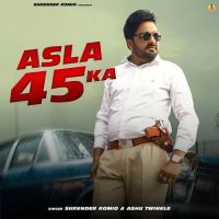 Surender Romio and Ashu Twinkle mp3 songs download,Surender Romio and Ashu Twinkle Albums and top 20 songs download