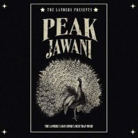Download Peak Jawani The Landers mp3 song, Peak Jawani The Landers full album download