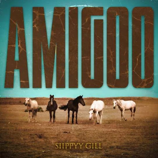 Download Amigoo Sippy Gill mp3 song