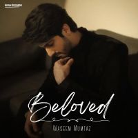 Waseem Mumtaz and Bilal Saeed mp3 songs download,Waseem Mumtaz and Bilal Saeed Albums and top 20 songs download