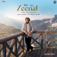 Download Zeenat (The Adornment) Satinder Sartaaj mp3 song, Zeenat (The Adornment) Satinder Sartaaj full album download