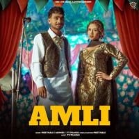 Download Amli Preet Pablo mp3 song, Amli Preet Pablo full album download