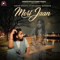 Download Meri Jaan Simar Doraha mp3 song, Meri Jaan Simar Doraha full album download