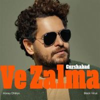 Download Meri Nai Gurshabad mp3 song, Ve Zalma Gurshabad full album download