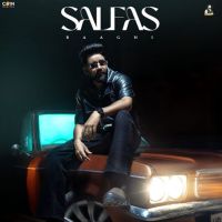 Download Salfas Baaghi mp3 song, Salfas Baaghi full album download