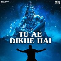 Download Tu Ae Dikhe Hai Ndee Kundu mp3 song, Tu Ae Dikhe Hai Ndee Kundu full album download