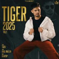 Download Tiger 2025 Vol. 1 Tiger mp3 song
