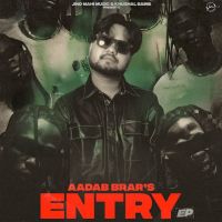 Download Nurse Aadab Brar mp3 song, Entry Aadab Brar full album download