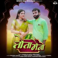 Download Tota Maina Pawan Pilaniya, Nonu Rana mp3 song, Tota Maina Pawan Pilaniya, Nonu Rana full album download