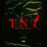 Download TNT Jxggi mp3 song, TNT Jxggi full album download