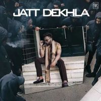Download Jatt Dekhla Sarthi K mp3 song, Jatt Dekhla Sarthi K full album download