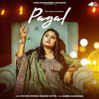 Download Pagal Sultana Nooran mp3 song, Pagal Sultana Nooran full album download
