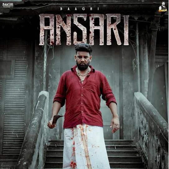 Download Ansari Baaghi mp3 song