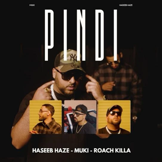 Download Pindi Haseeb Haze mp3 song, Pindi Haseeb Haze full album download
