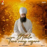 Download Moula Tere Rang Niyare Baba Gulab Singh Ji mp3 song, Moula Tere Rang Niyare Baba Gulab Singh Ji full album download