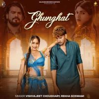 Vishvajeet Choudhary and Rekha Goswami mp3 songs download,Vishvajeet Choudhary and Rekha Goswami Albums and top 20 songs download