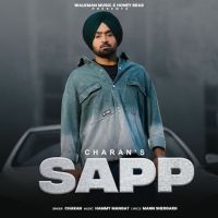Download Sapp Charan mp3 song, Sapp Charan full album download