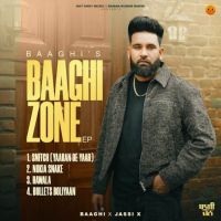 Baaghi Zone - EP By Baaghi full mp3 album