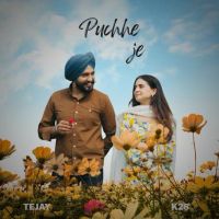 Download Puchhe Je TEJAY mp3 song, Puchhe Je TEJAY full album download