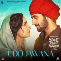 Download Udd Jawana (Soohe Ve Cheere Waleya) Bir Singh mp3 song, Udd Jawana (Soohe Ve Cheere Waleya) Bir Singh full album download