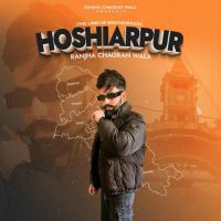 Download Hoshiarpur Ranjha Chagran Wala mp3 song, Hoshiarpur Ranjha Chagran Wala full album download