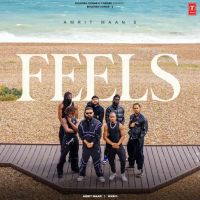 Download Feels Amrit Maan mp3 song, Feels Amrit Maan full album download