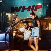 Download Whip Baaghi mp3 song, Whip Baaghi full album download