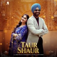 Download Taur Shaur Surjit Bhullar mp3 song, Taur Shaur Surjit Bhullar full album download