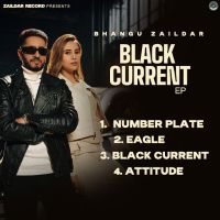 Download Eagle Bhangu Zaildar mp3 song, Black Current Bhangu Zaildar full album download