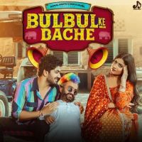 Download Bulbul Ke Bache Raj Mawar, Shiva Choudhary mp3 song, Bulbul Ke Bache Raj Mawar, Shiva Choudhary full album download