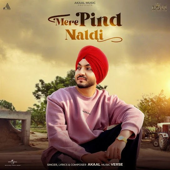 Download Mere Pind Naldi Akaal mp3 song, Mere Pind Naldi Akaal full album download