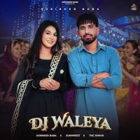 Download Dj Waleya Surinder Baba mp3 song, Dj Waleya Surinder Baba full album download