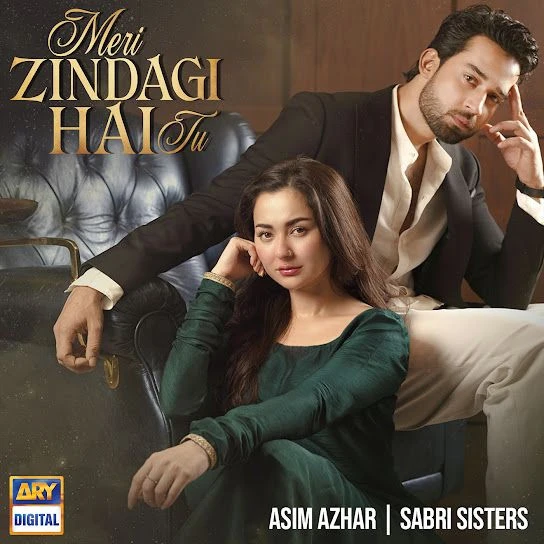 Download Meri Zindagi Hai Tu Asim Azhar mp3 song, Meri Zindagi Hai Tu Asim Azhar full album download