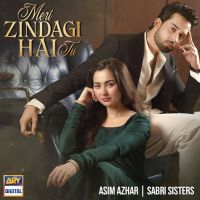 Asim Azhar mp3 songs download,Asim Azhar Albums and top 20 songs download