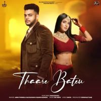 Download Thaare Bateu Ashu Twinkle, Raj Mawar mp3 song, Thaare Bateu Ashu Twinkle, Raj Mawar full album download